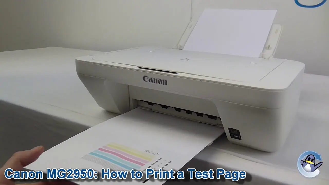 como hacer fotocopia con canon mg 2950 - Cómo se pone el papel en la impresora Canon