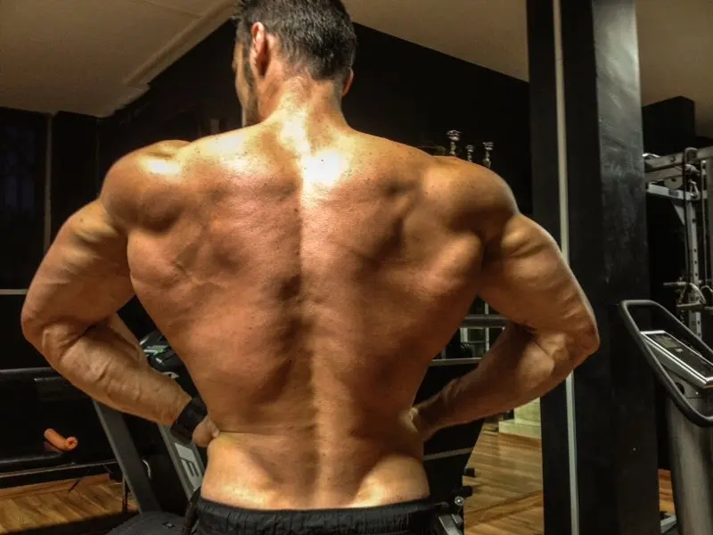 Fotocopia de los músculos de la parte de atrás del cuerpo - Cuáles son los músculos de la espalda fotocopia musculos parte de atras - Cuáles son los músculos de la espalda