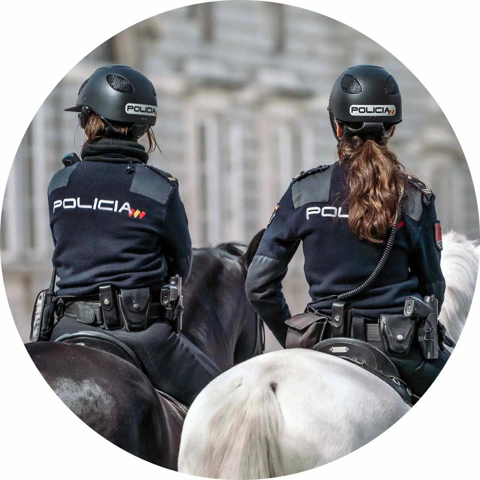 Campus virtual oposiciones Policía Nacional: La clave para prepararte con éxito - Cuándo salen las notas de la Policía Nacional 2023 campus virtual oposiciones policia nacional - Cuándo salen las notas de la Policía Nacional 2023